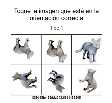 1756375574113.png