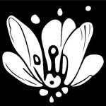 Pollinations.ai